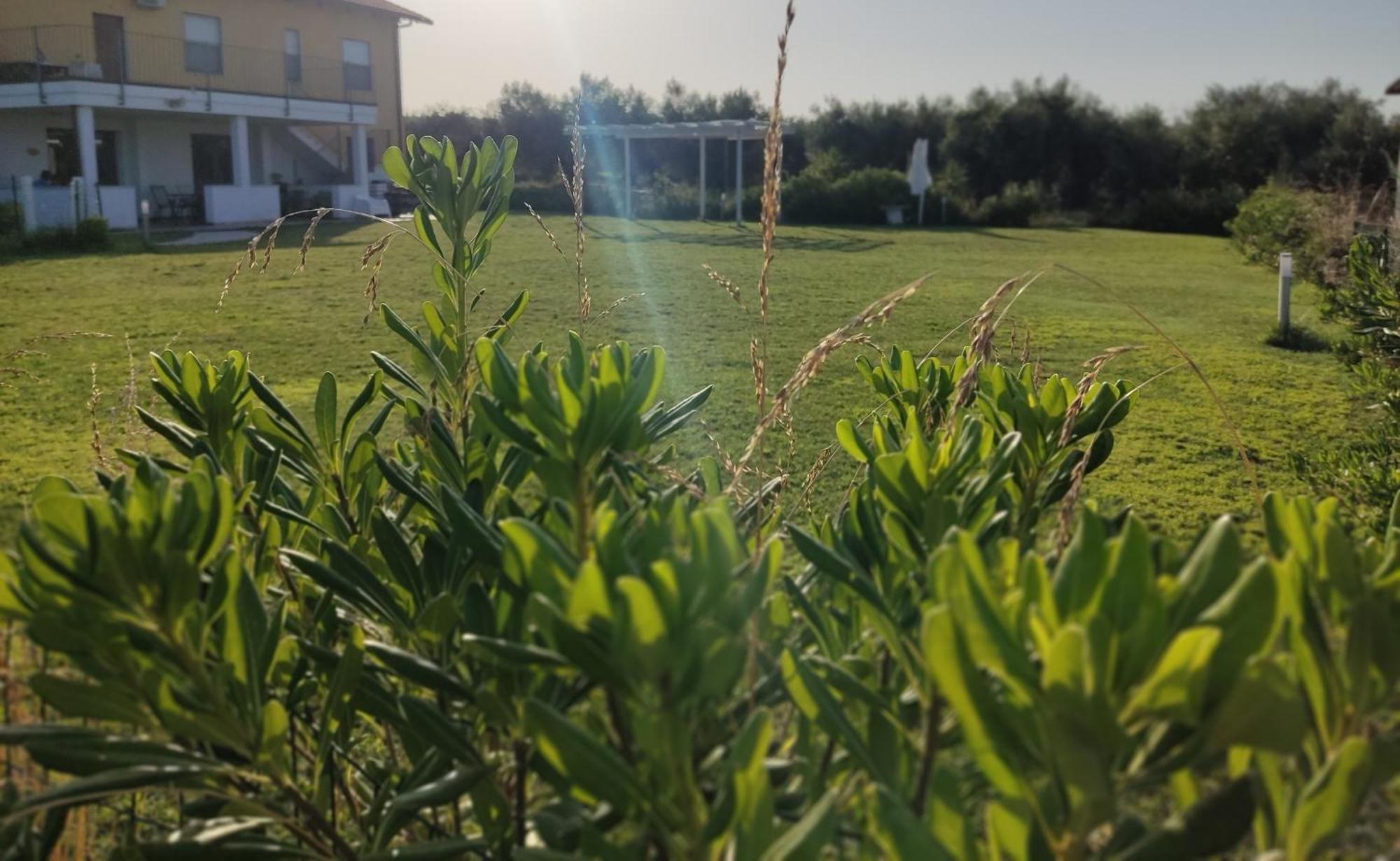 Natura E Mente Camere E Relax Vasto Luaran gambar
