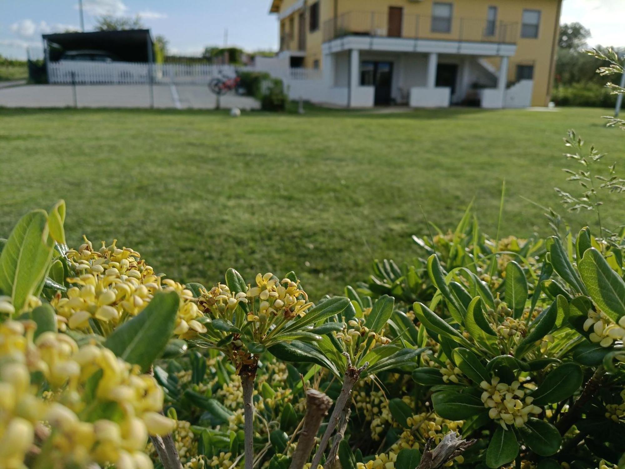 Natura E Mente Camere E Relax Vasto Luaran gambar